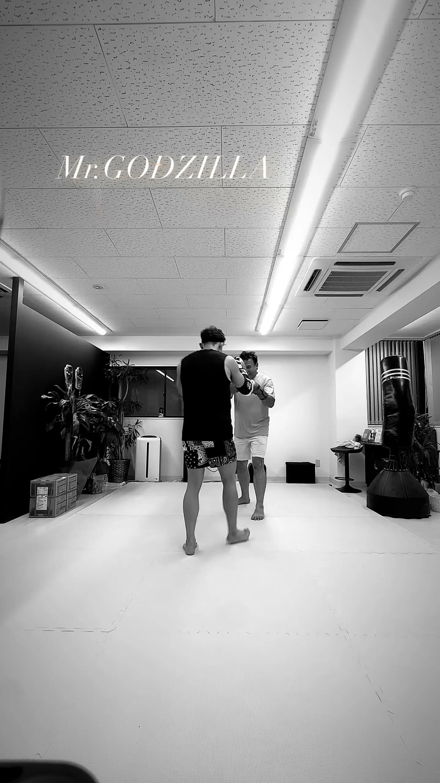 Mr.GODZILLA🥊